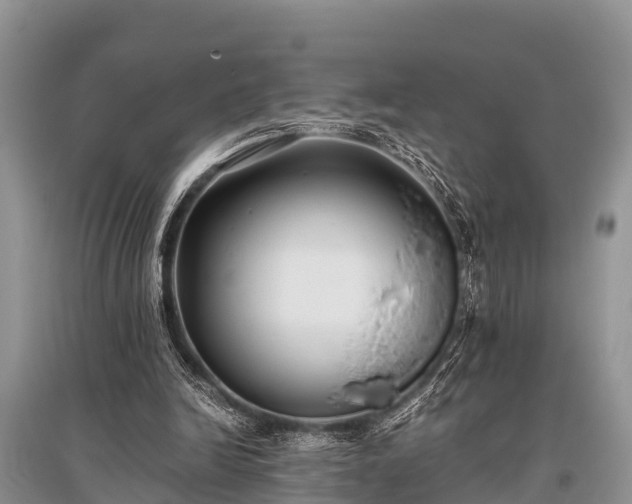 X0000096140246200801251048