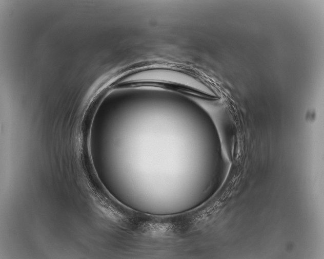 X0000096140247200801251048