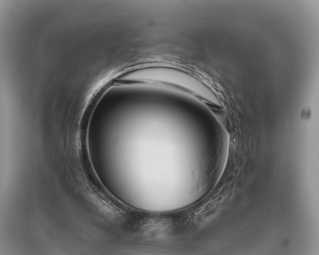 X0000096140248200801251048