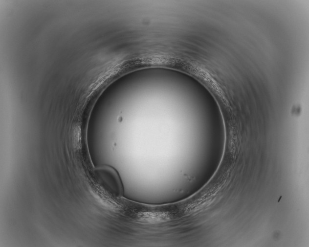 X0000096140251200801251048