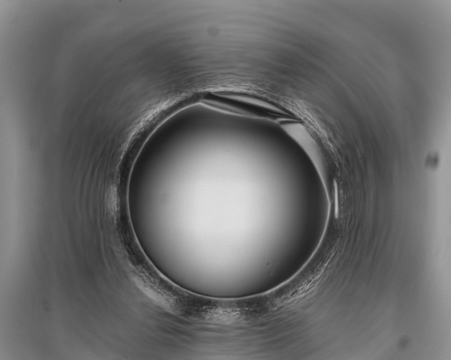 X0000096140252200801251048