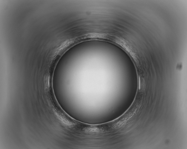 X0000096140253200801251048