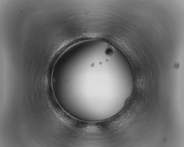 X0000096140256200801251048