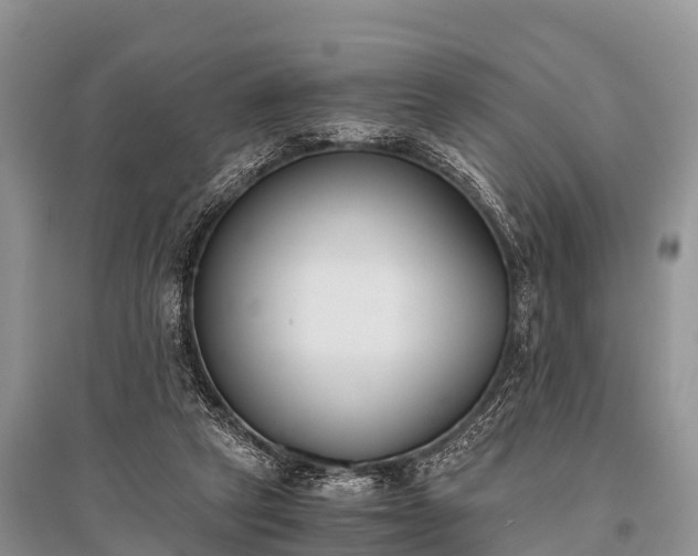 X0000096140257200801251048