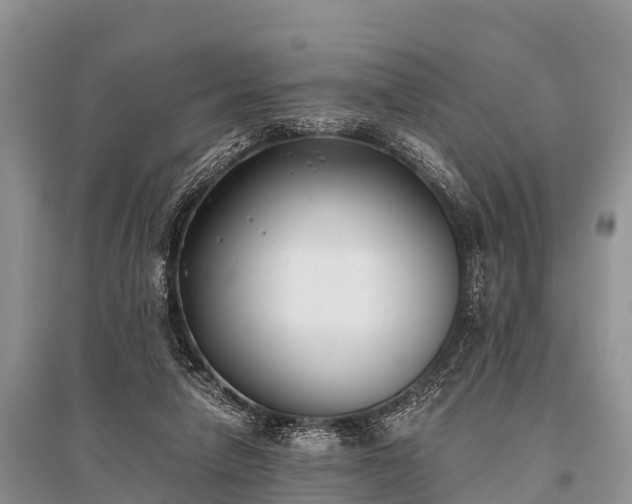 X0000096140258200801251048