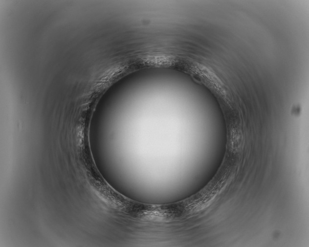 X0000096140259200801251048