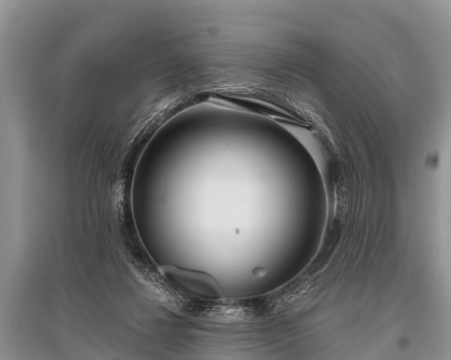 X0000096140260200801251048