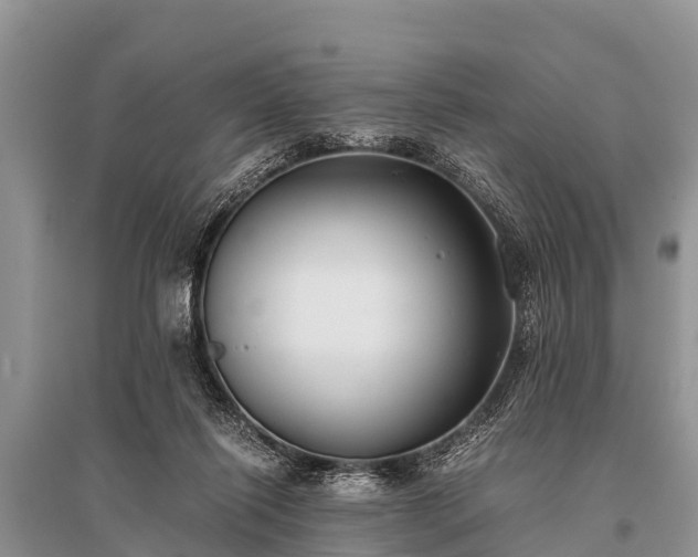 X0000096140262200801251048