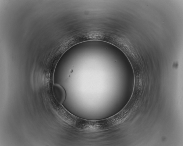 X0000096140263200801251048