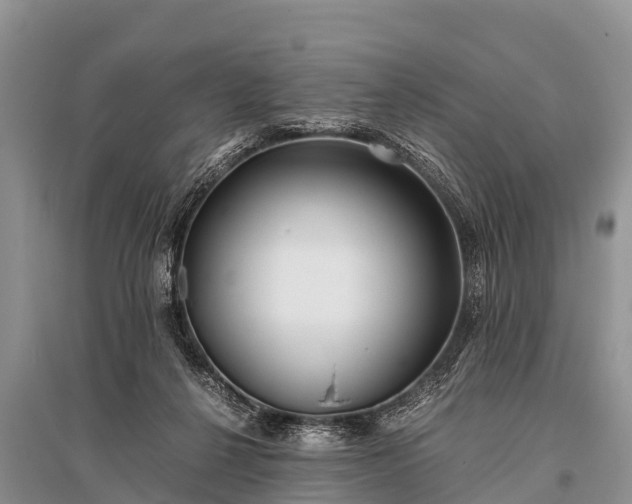 X0000096140264200801251048
