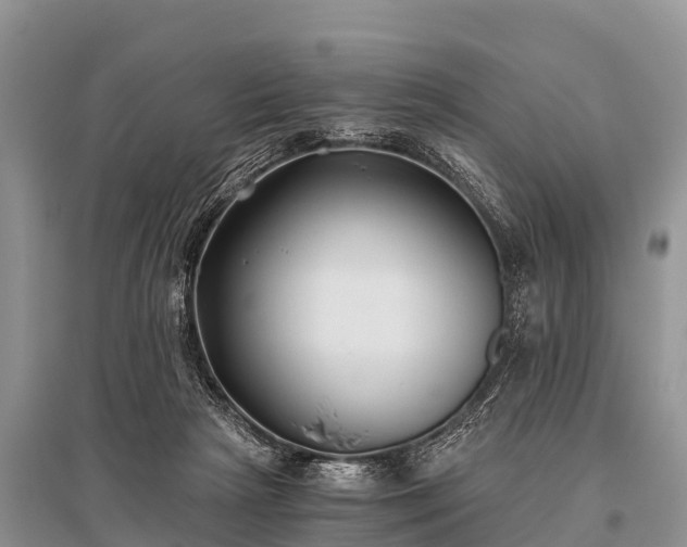 X0000096140265200801251048