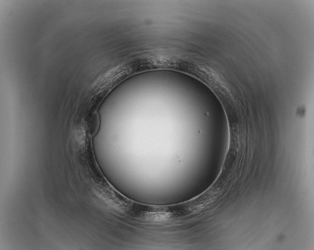 X0000096140266200801251048
