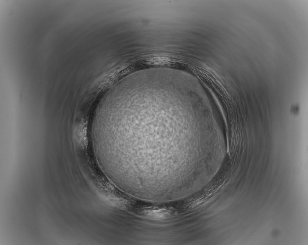 X0000096140267200801251048