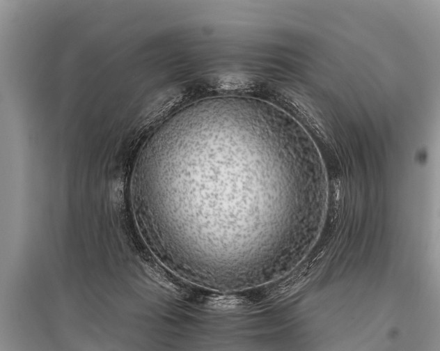 X0000096140269200801251048
