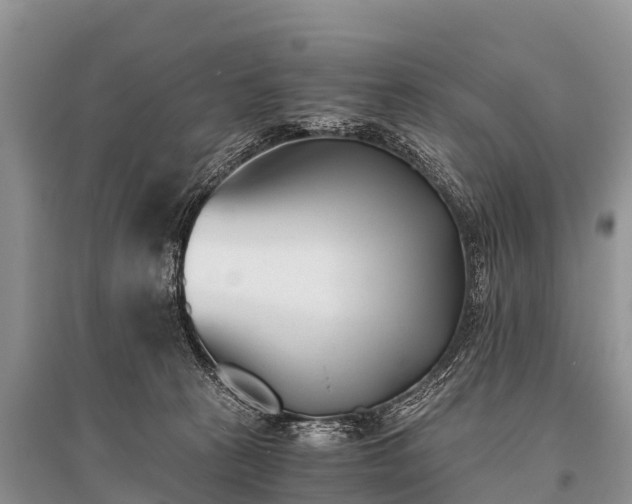 X0000096140273200801251048