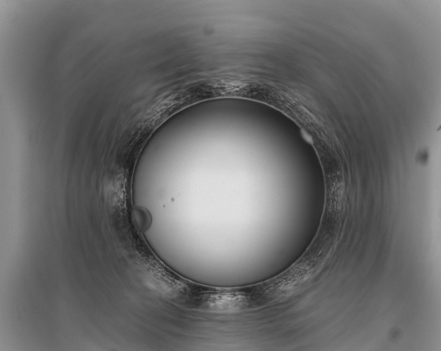 X0000096140274200801251048