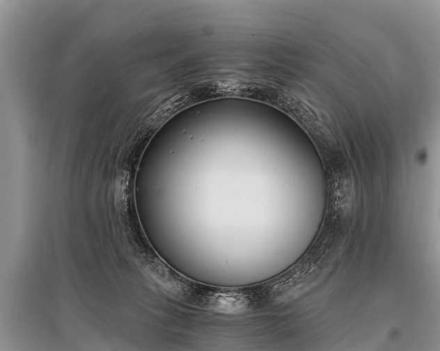 X0000096140275200801251048