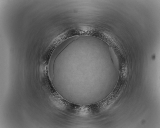 X0000096140276200801251048