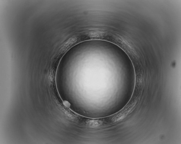 X0000096140277200801251048