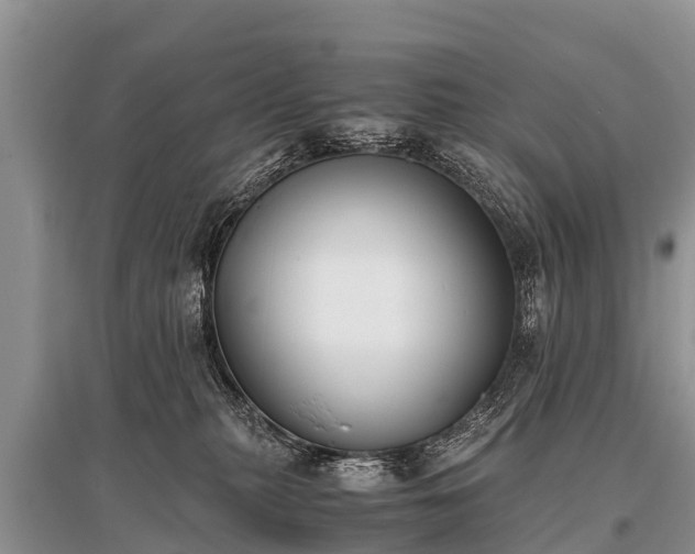 X0000096140279200801251048