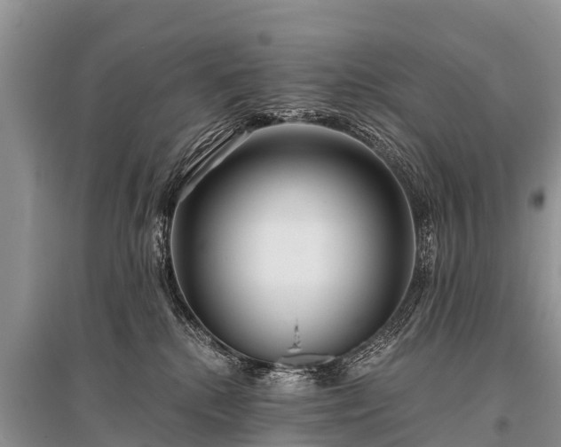 X0000096140280200801251048