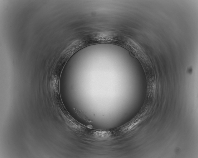 X0000096140281200801251048