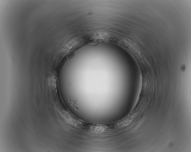 X0000096140282200801251048