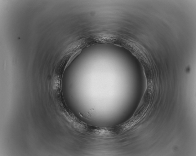 X0000096140284200801251048