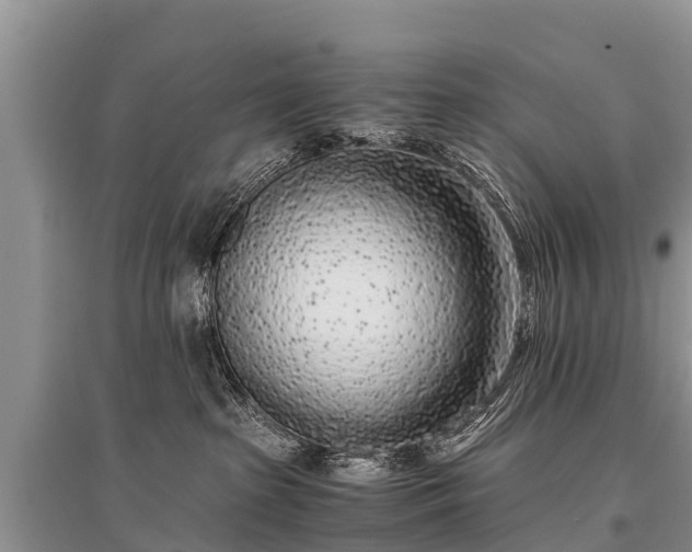 X0000096140285200801251048