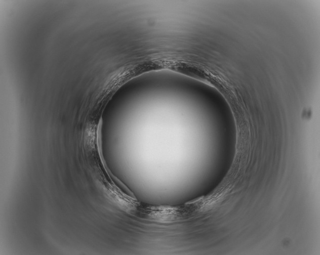 X0000096140288200801251048