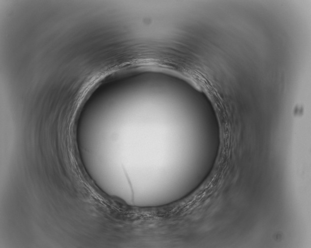 X0000096140289200801251048