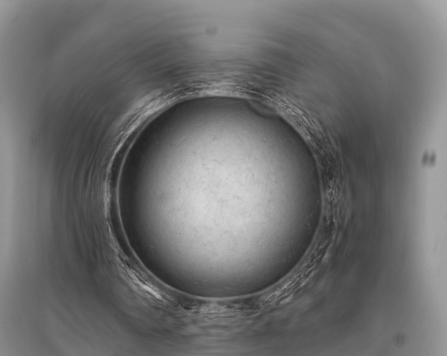 X0000096140290200801251048
