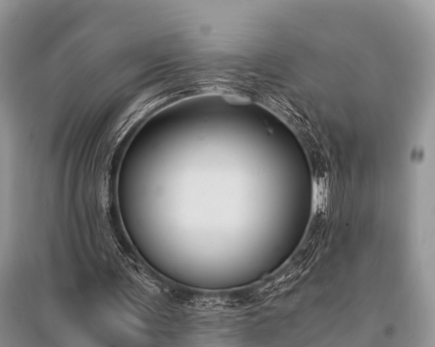X0000096140291200801251048
