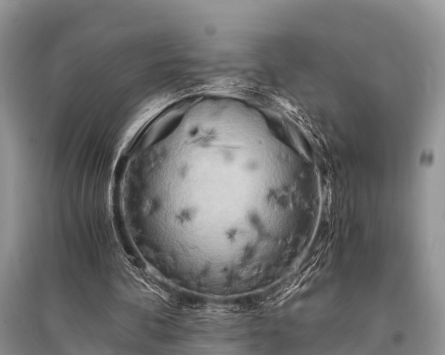 X0000096140292200801251048