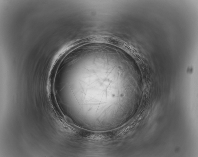 X0000096140294200801251048
