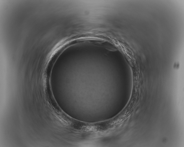 X0000096140295200801251048