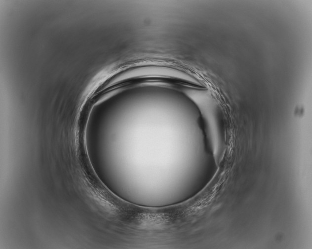 X0000096140296200801251048