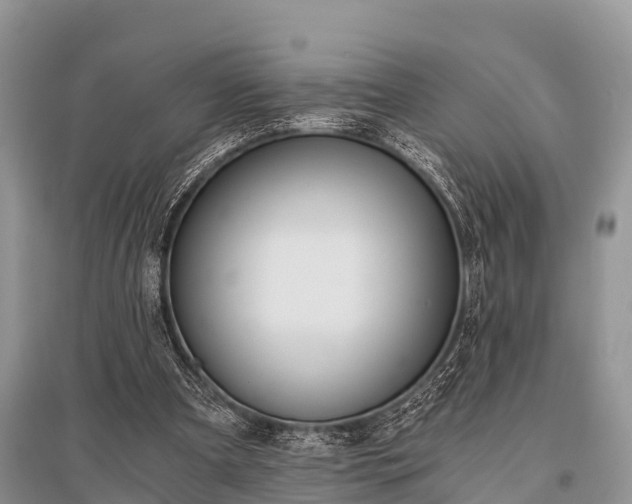 X0000096140297200801251048