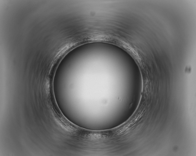 X0000096140298200801251048