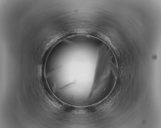 X0000096140299200801251048