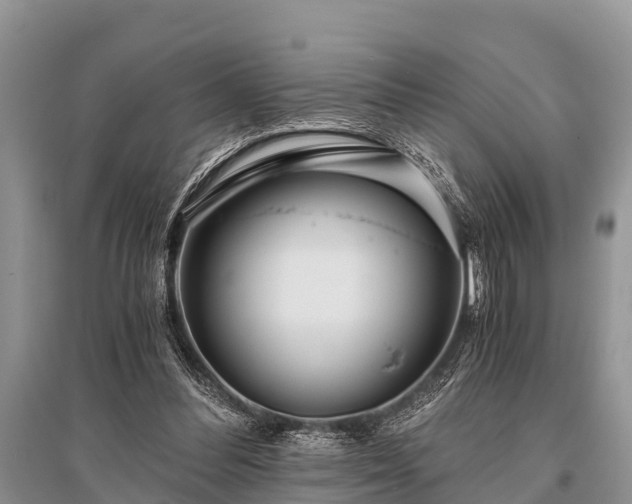 X0000096140300200801251048