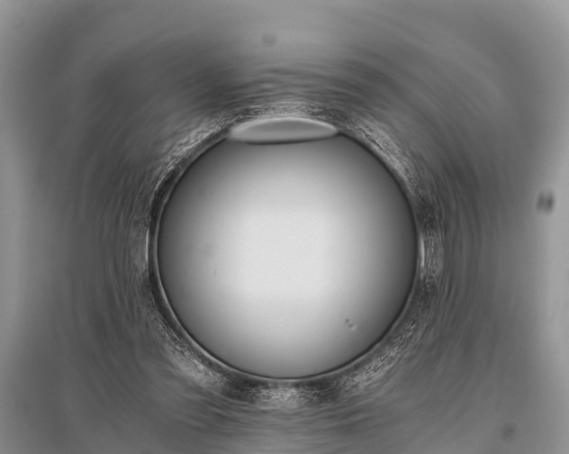 X0000096140301200801251048