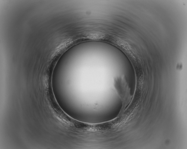 X0000096140303200801251048