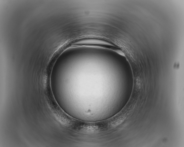 X0000096140304200801251048