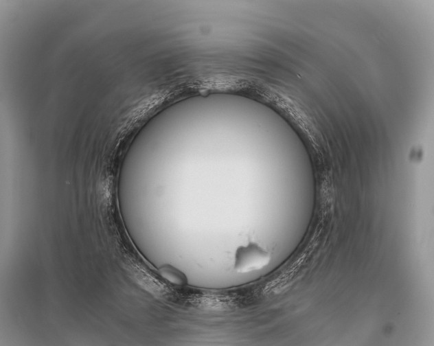 X0000096140305200801251048