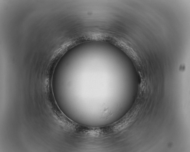 X0000096140306200801251048