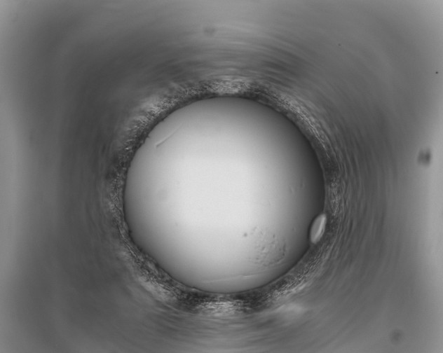 X0000096140307200801251048