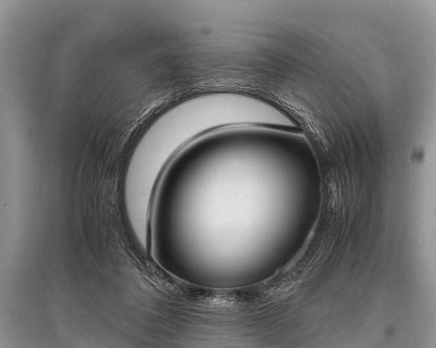 X0000096140308200801251048