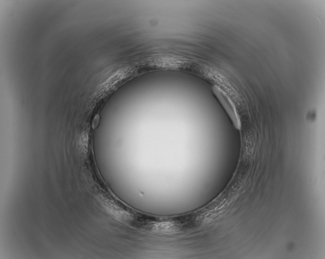 X0000096140309200801251048