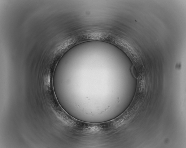 X0000096140310200801251047